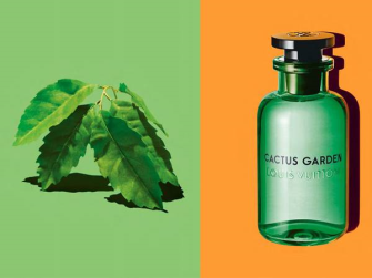Louis Vuitton Cactus Garden 100 ml Edp Unisex Parfüm 