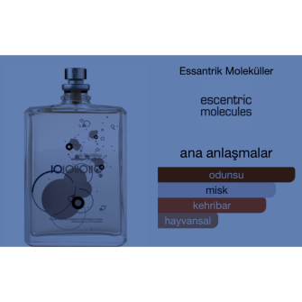 Escentric Molecule No:1 100ml Unisex Tester Parfüm